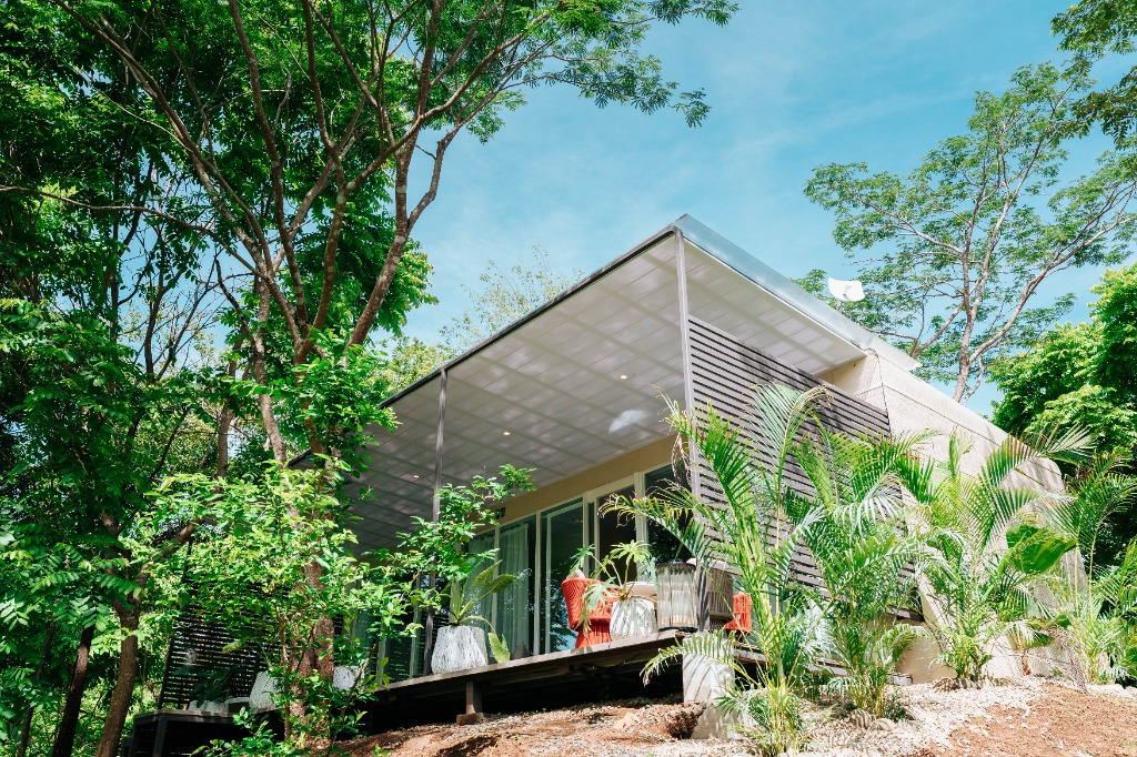 Deck Exterior Sostenible - Integración Paisajística Orgánica